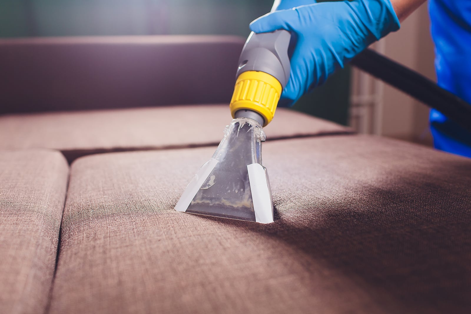 Learn From the Pros: A Deep Dive Into Upholstery Cleaning